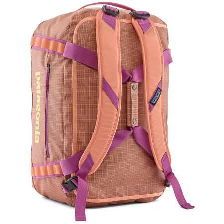 Borsa da viaggio Patagonia Black Hole Duffel 40L