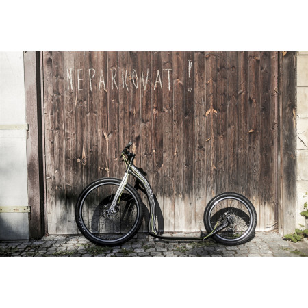 Monopattino Yedoo Trexx Disc