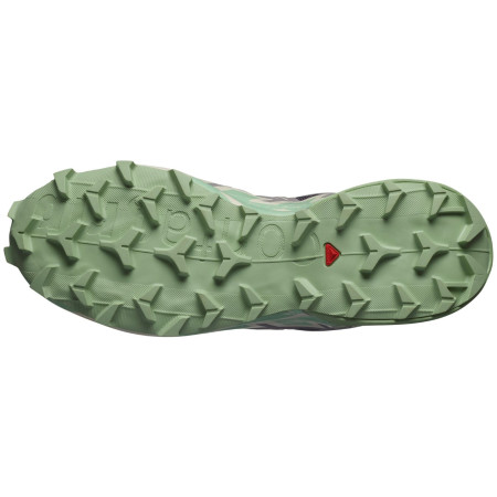 Scarpe da corsa da donna Salomon Speedcross 6