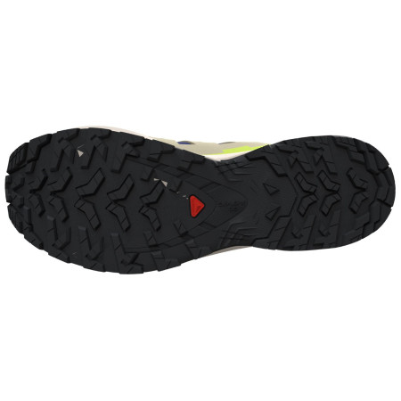 Scarpe da uomo Salomon Xa Pro 3D V9