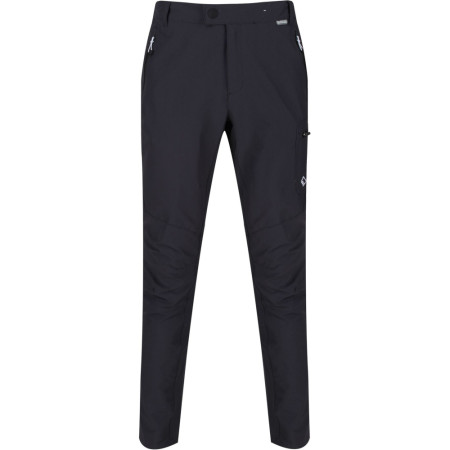 Pantaloni da uomo Regatta Highton Trs grigio Magnet