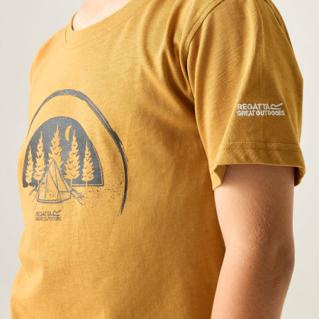 Maglietta da bambino Regatta Bosley Wood Brown