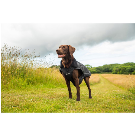 Impermeabili per cani Mountain Paws Fleece-Lined Dog Raincoat