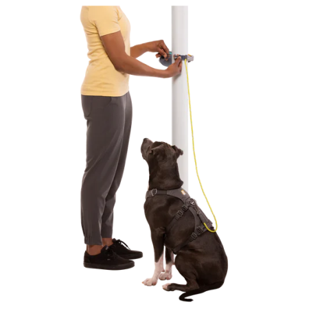 Guinzaglio per cane Ruffwear Hitch Hiker™ Leash
