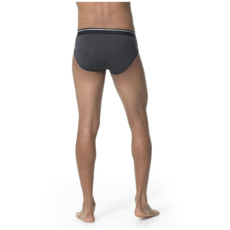 Slip da uomo Icebreaker Mens Anatomica Briefs