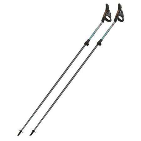 Bastoncini da nordic walking Fizan NW Carbon Pro Impulse