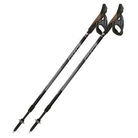 Bastoncini Fizan NW Speed