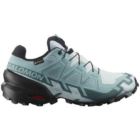 Scarpe da donna Salomon Speedcross 6 Gore-Tex