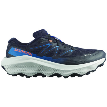 Scarpe da uomo Salomon Ultra Flow 2 Gore-Tex