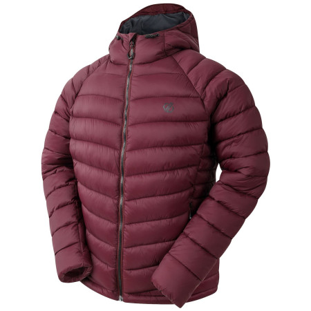 Giacca da uomo Dare 2b Torrek Baffled Jacket