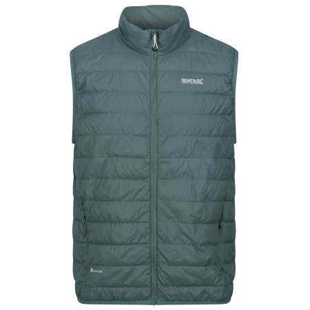 Gilet da uomo Regatta Hillpack B/W verde Sea Pine