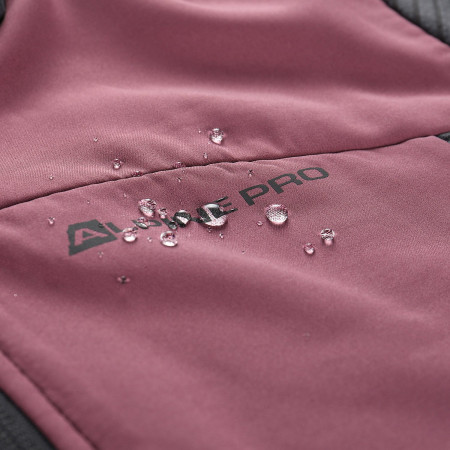 Felpa tecnica da donna Alpine Pro Zolla