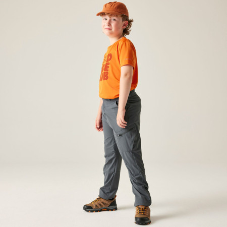 Pantaloni da bambino Dare 2b Rapid trouser Magnet