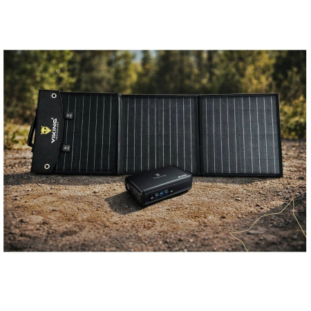 Set Viking Technology generatore a batteria Viking VALI150 e pannello solare Viking L60 PD