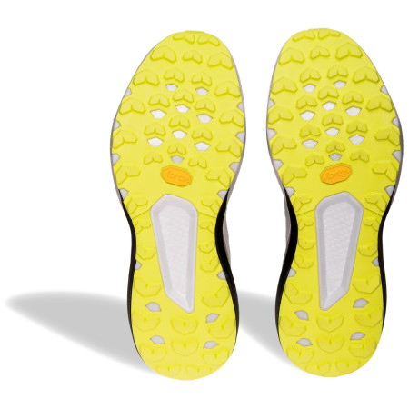 Scarpe da corsa da uomo Dynafit Trail