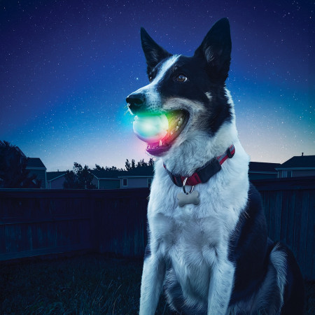 Giocattolo per cane Nite Ize Glowstreak LED Ball