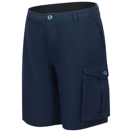 Pantaloncini da uomo Regatta Bendrick Shorts