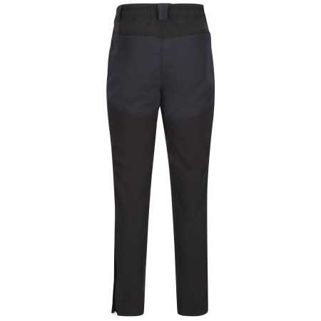 Pantaloni da uomo Regatta Questra IV