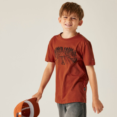 Maglietta da bambino Dare 2b Trailbazer III Tee Arabian Spice