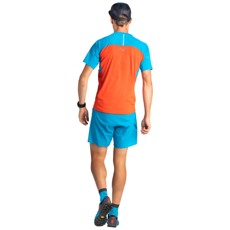 Scarpe da corsa da uomo Dynafit Alpine