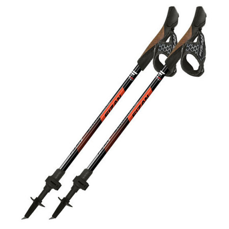 Bastoncini da nordic walking Fizan R-Evolution Pro