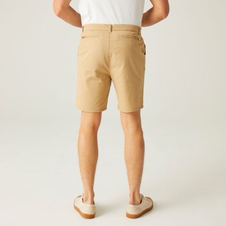 Pantaloncini da uomo Regatta Sabden Short