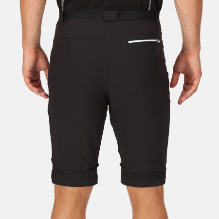 Pantaloni da uomo Regatta Mountain Z/O Trs