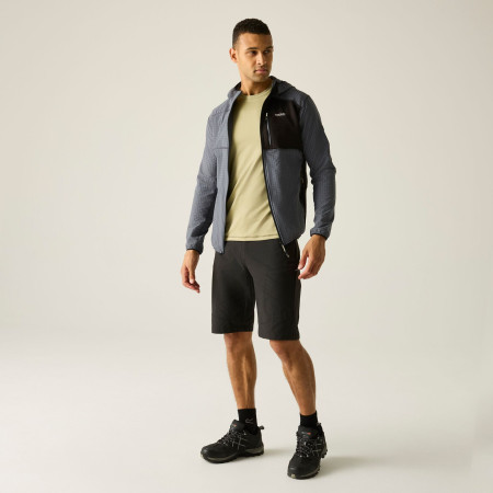 Felpa da uomo Regatta Alven