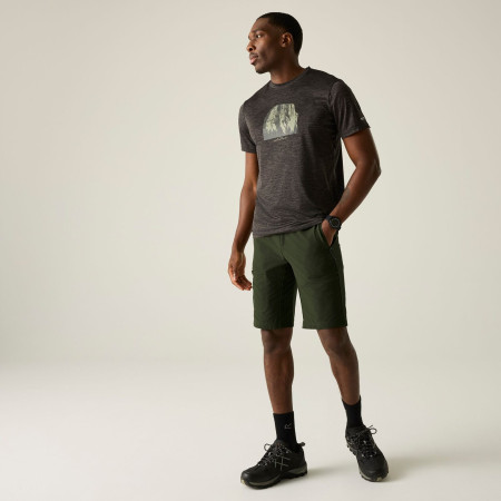 Pantaloncini da uomo Regatta Highton Shorts Long II