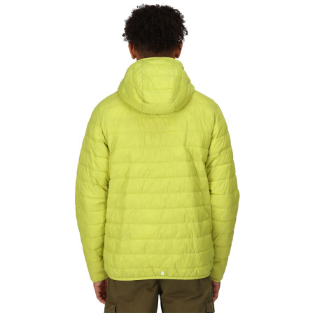 Giacca invernale da uomo Regatta Hooded Hillpack