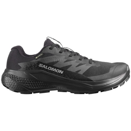 Scarpe da donna Salomon Alphaglide Gore-Tex