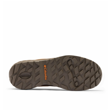 Scarpe da uomo Columbia Newton Alpine™ Low