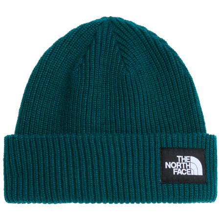 Berretto The North Face Salty Lined Beanie