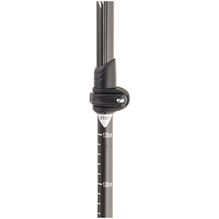 Bastoncini da trekking Axon Light