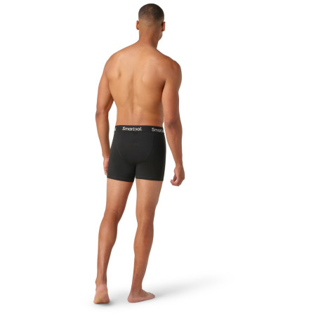 Boxer da uomo Smartwool M Boxer Brief Boxed