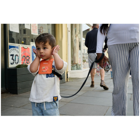 Redinelle di sicurezza LittleLife Toddler Reins Tiger