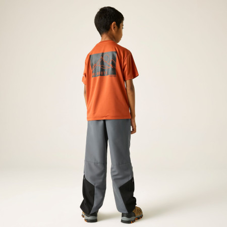 Pantaloni da bambino Regatta Sorcer Mountain Trousers VII Dark Storm