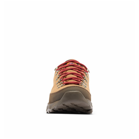 Scarpe da uomo Columbia Newton Alpine™ Low