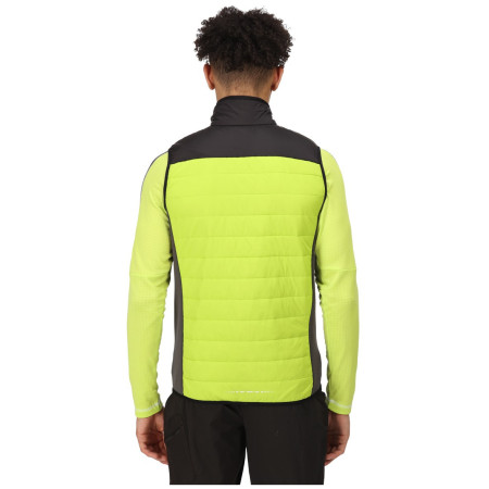 Gilet da uomo Regatta Halton BW VI