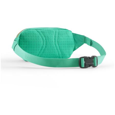 Marsupio Patagonia Terravia Mini Hip Pack