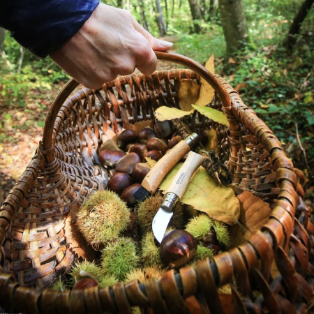 Coltello chiudubile Opinel N°07 Inox