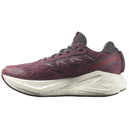 Scarpe da corsa da donna Salomon Aero Glide 4