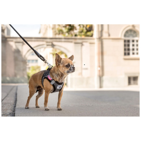Guinzaglio per cane Curli Stretch Comfort Leash