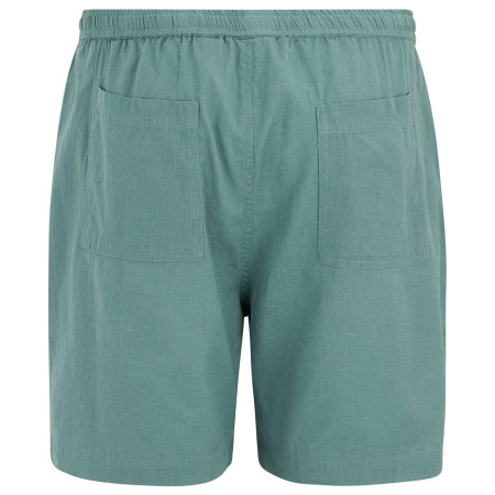 Pantaloncini da uomo Regatta Hadlin Shorts