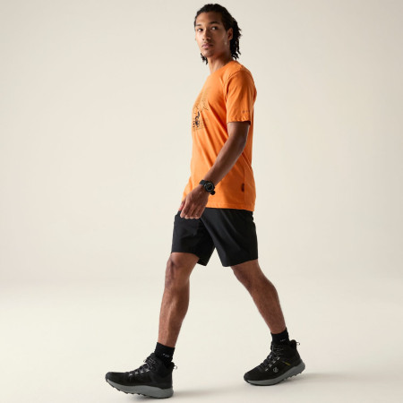 Pantaloncini da uomo Dare 2b Torrek Lite Short