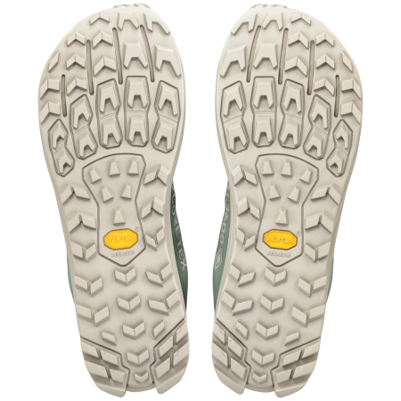 Scarpe da corsa da uomo Altra Lone Peak 9+ GTX