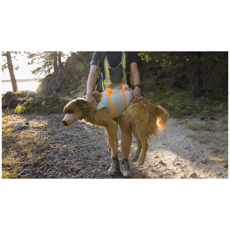 Pettorina per cane Ruffwear BackTrak™ Dog Evacuation Kit