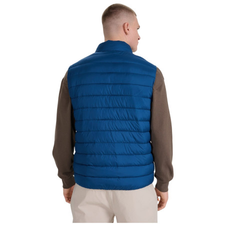 Gilet da uomo 4F Vest Jacket M224
