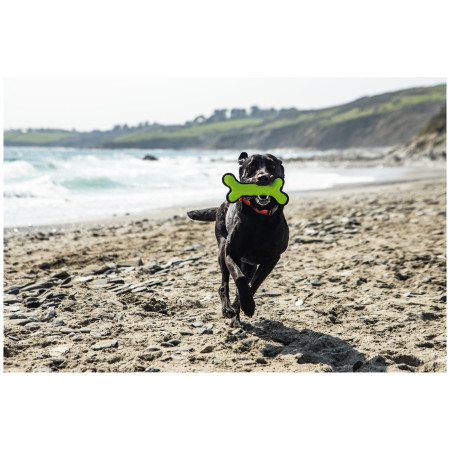 Giocattolo per cane Mountain Paws Rubber Bone Dog Toy