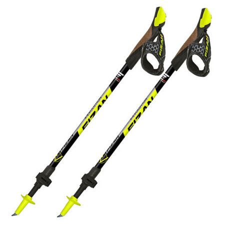 Bastoncini da nordic walking Fizan R-Evolution